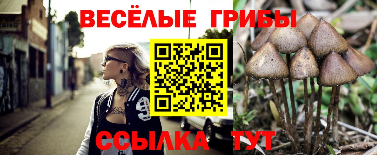 Минусинск  Псилоцибиновые грибы GOLDEN TEACHER  Вход с VPN  Псилоцибиновые грибы Cubensis 