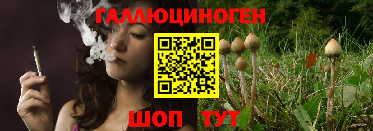 Псилоцибиновые грибы прущие грибы Минусинск